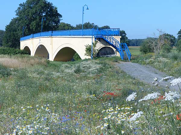 Muldebrücke bei Canitz
