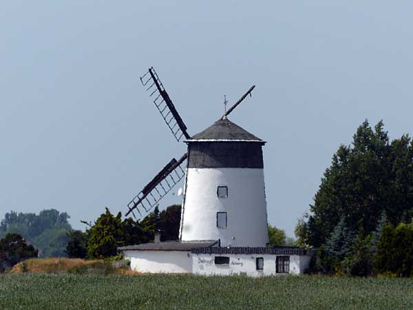 Windmühle Püchau
