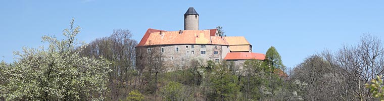 Burg Schönfels im Vogtland