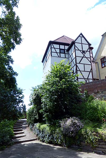 Burg Düben
