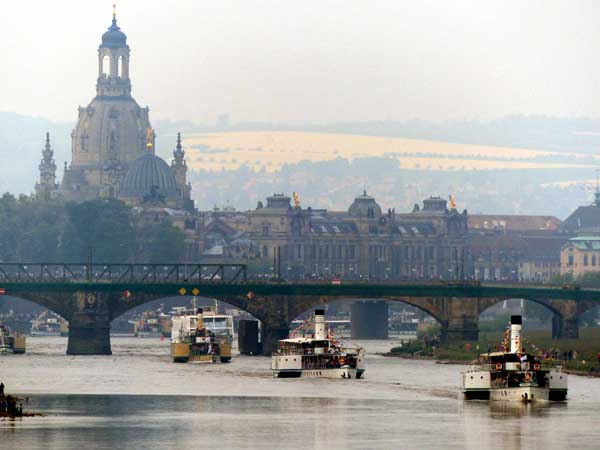 Dampferparade historische Elbdampfer vor der historischen Altstadt von Dresden
