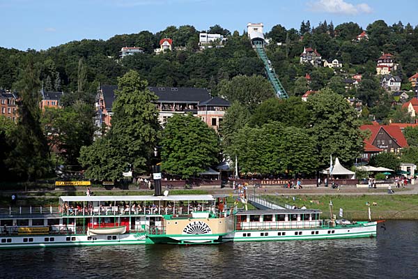 Dampfer PILLNITZ in Loschwitz