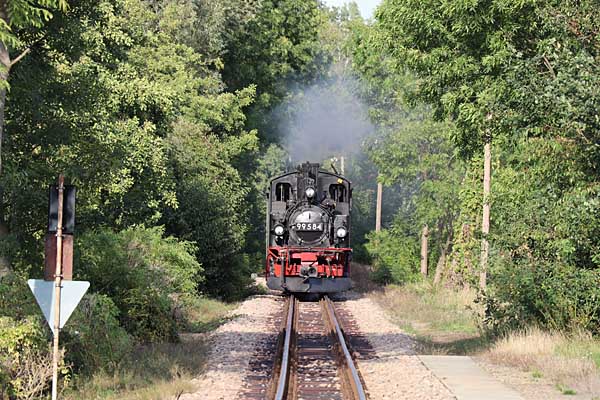 99 585 zwischen Oschatz Süd und Altoschatz