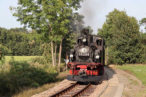 99 585 zwischen Oschatz Süd und Altoschatz