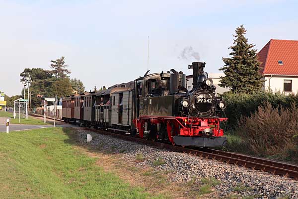 99 542 vor Mügeln