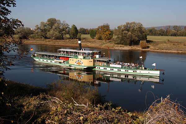 Raddampfer Pirna