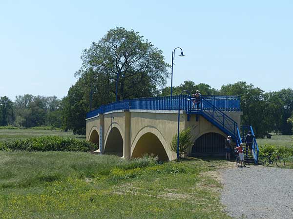 Muldebrücke Canitz