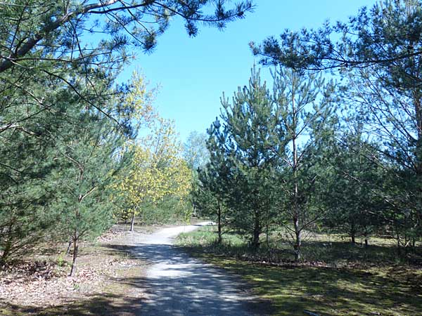 Weg durch das ehemalige Bergbaugebiet
