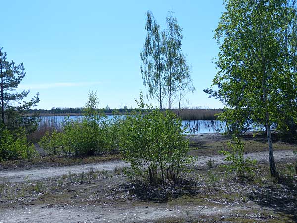 Braunkohle ade - Natur pur