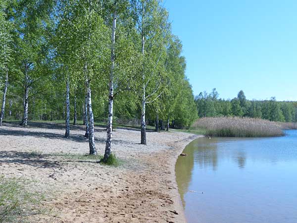Badestelle am Ludwigsee