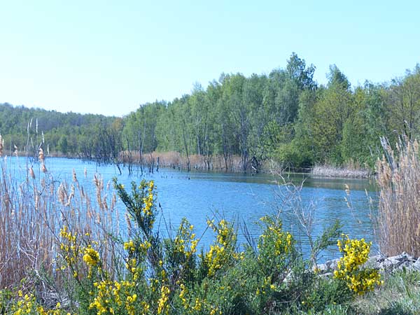 Holzweißiger See