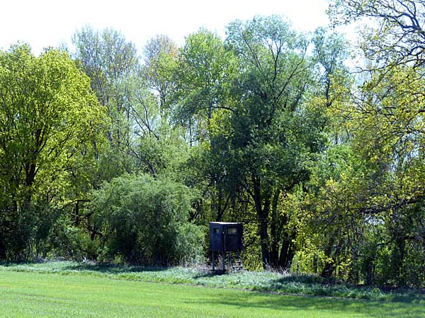 Auenlandschaft bei Löbnitz