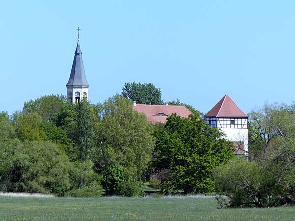 Blick auf die Burg Düben
