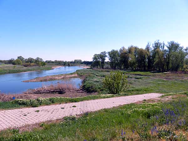 Mulde bei bei Bad Düben