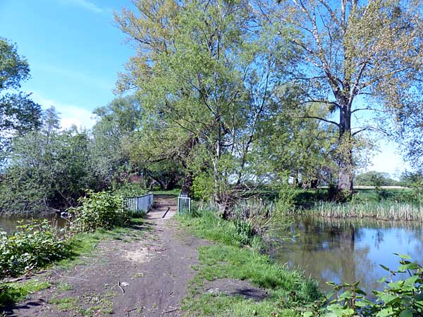 Auenlandschaft bei Eilenburg Ost