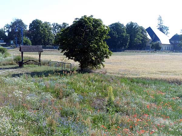 Blick zurück zum Wasserwerk Canitz