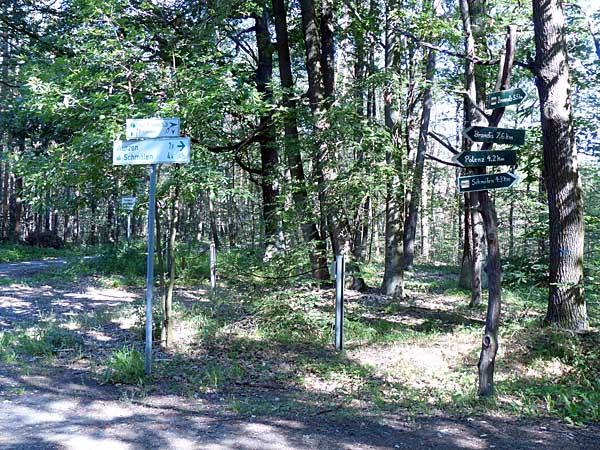 Wegweiser an der 6-Wege-Kreuzung im Planitzwald