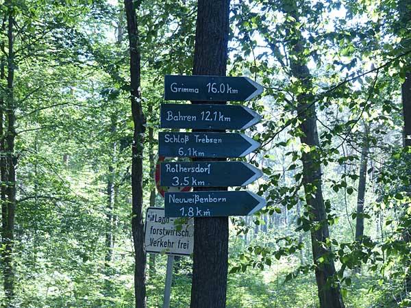 Wegweiser an der 6-Wege-Kreuzung im Planitzwald