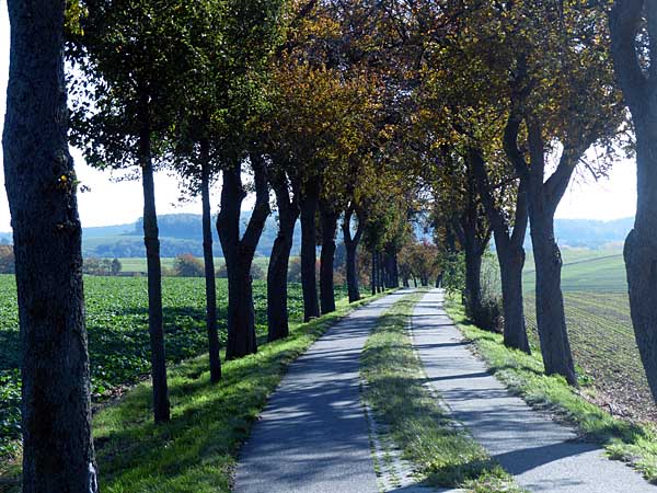 Weg nach Stollsdorf