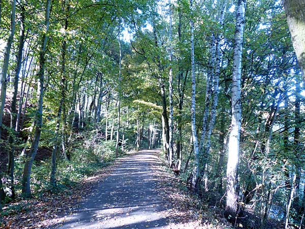 Radweg auf der Trasse der ehemaligen Muldentalbahn