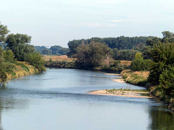 Blick auf die Mulde von der Canitzer Muldebrücke