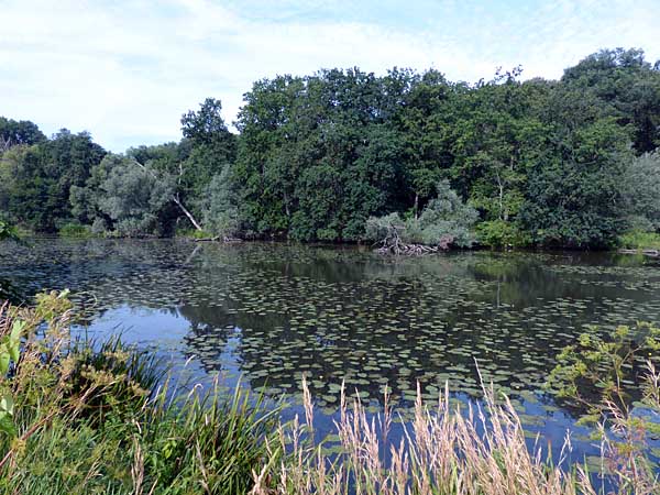 Lindelbach bei Groitzsch