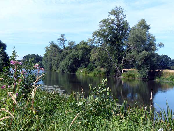 Lindelbach bei Groitzsch