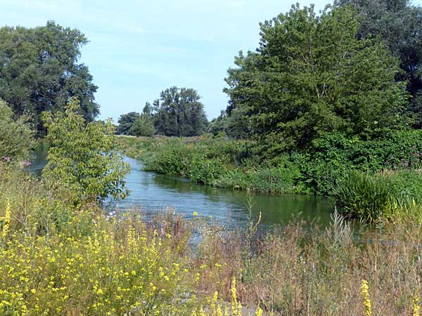 Mühlgraben