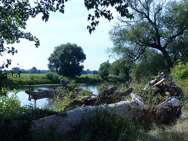 am Lindelbach