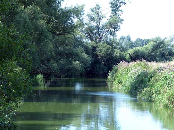 Mühlgraben bei Eilenburg