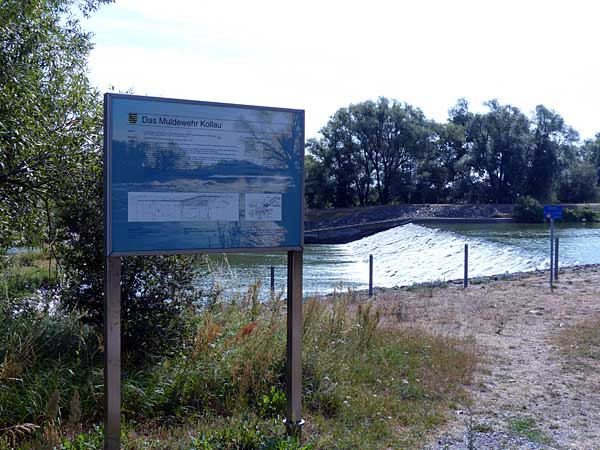 Muldewehr Kollau