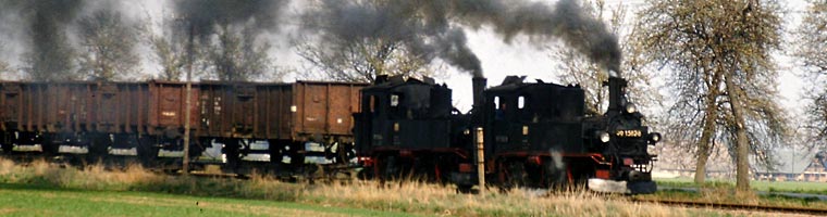 Güterzug unterwegs nach Mügeln