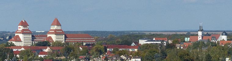Stadtansicht Wurzen von Westen